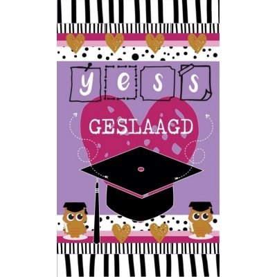 Klein bedank kaartje met tekst ''Yess Geslaagd .'' 5 bij 8,5 cm gekleurd.